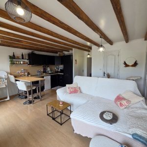 Appartement T3 de Charme Rénové